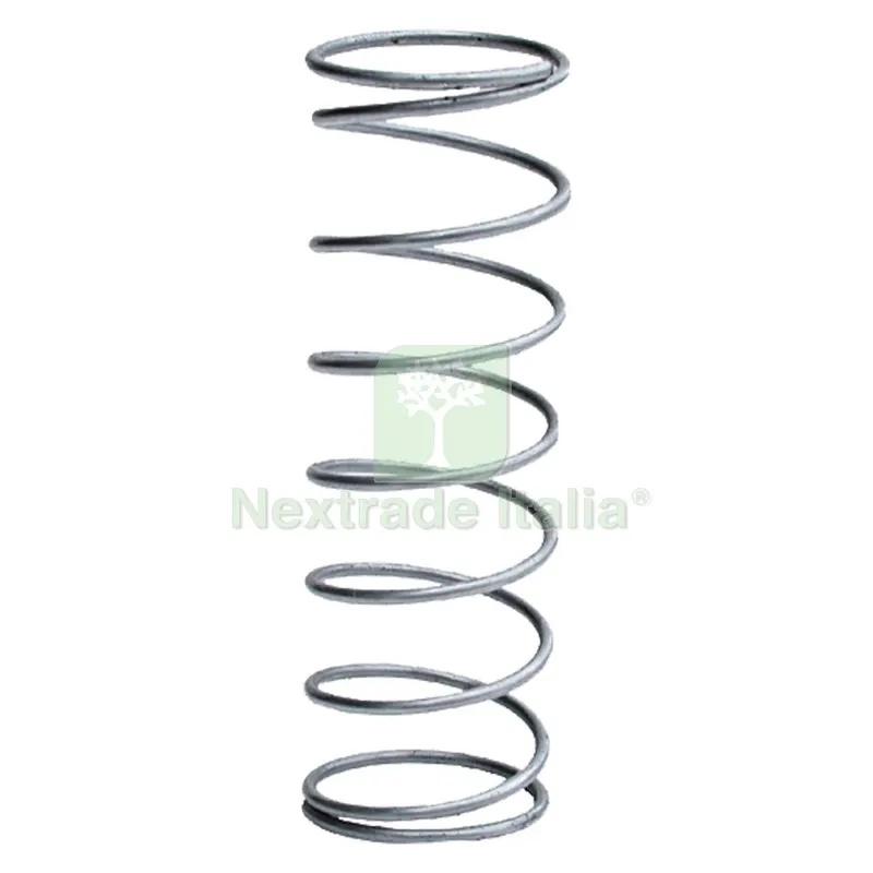 5PZ MOLLA IN ACCIAIO ricambio — Minuteria metallica — rif. FERX.205352NLM