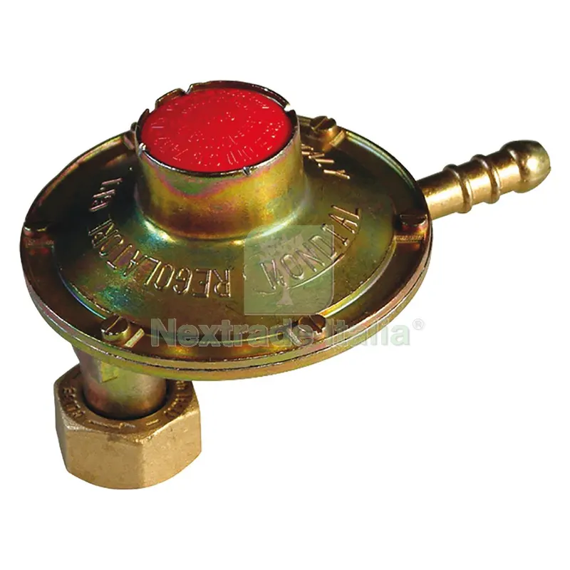 REGOLATORE GPL VERTICALE BASSA PRESSIONE 1 Kg/h codice 2061130 — Tubi e raccordi — rif. FERX.2061130NLM REGOLATORE GPL VERTICALE BASSA PRESSIONE 1 Kg/h codice 2061130 — Tubi e raccordi — rif. FERX.2061130NLM