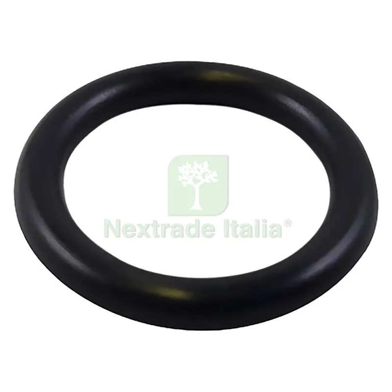 100PZ GUARNIZIONE O-RING PER RACCORDERIA mm 18,40 x 2,70 — Guarnizioni e tenute — rif. FERX.2041820NLM