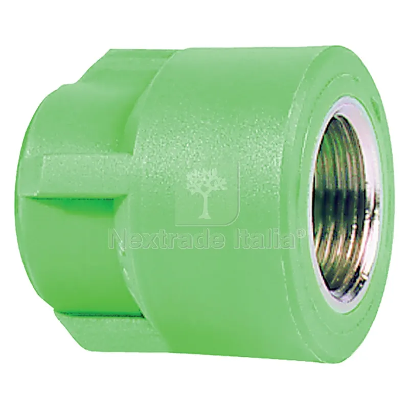 10PZ Raccordo Filettato Femmina 20 x 1/2 nx1 — Tubi e raccordi — rif. FERX.209731NLM 10PZ Raccordo Filettato Femmina 20 x 1/2 nx1 — Tubi e raccordi — rif. FERX.209731NLM