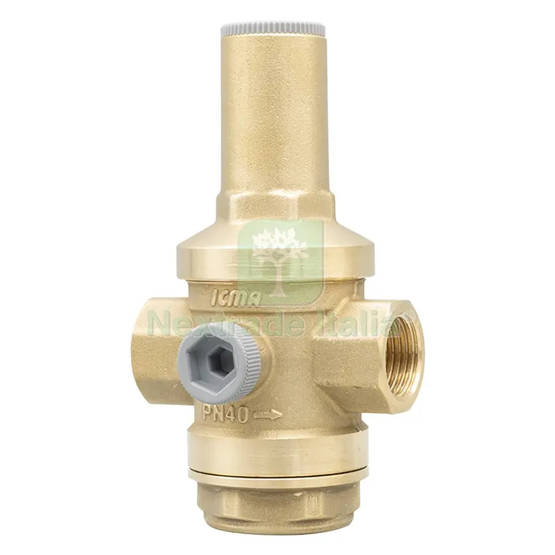 RIDUTTORE DI PRESSIONE '246' FF - PN 40 - 1/2 — Rubinetti e valvole — rif. FERX.205571NLM RIDUTTORE DI PRESSIONE '246' FF - PN 40 - 1/2 — Rubinetti e valvole — rif. FERX.205571NLM