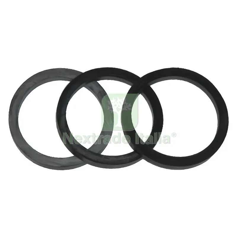 100PZ Guarnizione per Resistenza Scaldacqua gomma 44 x 36 x 4 — Guarnizioni e tenute — rif. FERX.205019NLM 100PZ Guarnizione per Resistenza Scaldacqua gomma 44 x 36 x 4 — Guarnizioni e tenute — rif. FERX.205019NLM