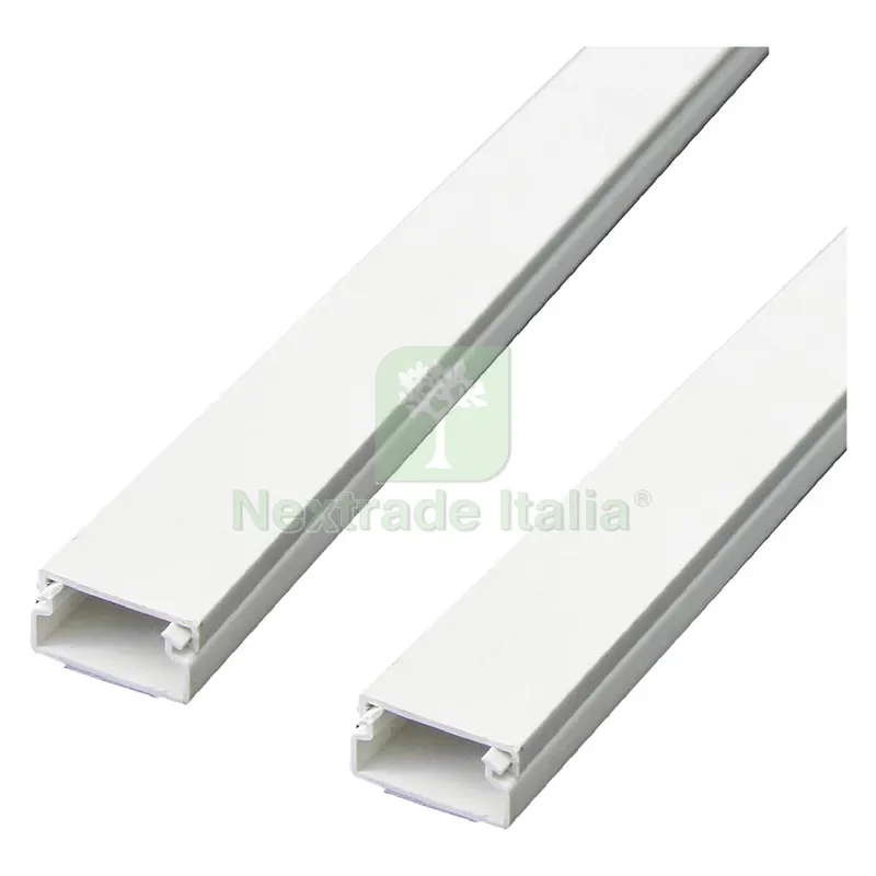 Canalina Passacavi Adesiva mm 20 x 10 - 2 pz da 1 mt. - 60775 — Canaline e centralini — rif. FERX.8075020NLM