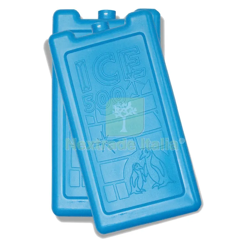 10CF Mattonella Ghiaccio per Contenitori Termici 'ICE 5 2 pezzi x 500 grammi — Tempo libero outdoor — rif. FERX.7906172NLM