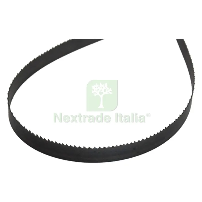 LAMA A NASTRO BIMETALLICA 'Z8/12' mm 1330 x 13 x 0,65 — Smerigliatrici e seghe — rif. FERX.511808NLM LAMA A NASTRO BIMETALLICA 'Z8/12' mm 1330 x 13 x 0,65 — Smerigliatrici e seghe — rif. FERX.511808NLM