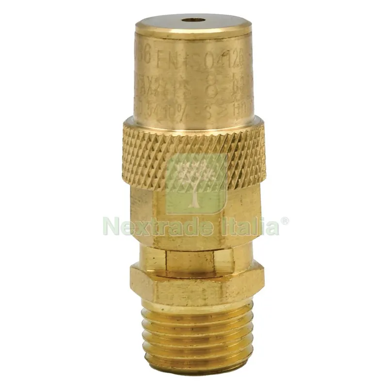 VALVOLA DI SICUREZZA per compressori Lt. 24/50 — Rubinetti e valvole — rif. FERX.5113977NLM VALVOLA DI SICUREZZA per compressori Lt. 24/50 — Rubinetti e valvole — rif. FERX.5113977NLM