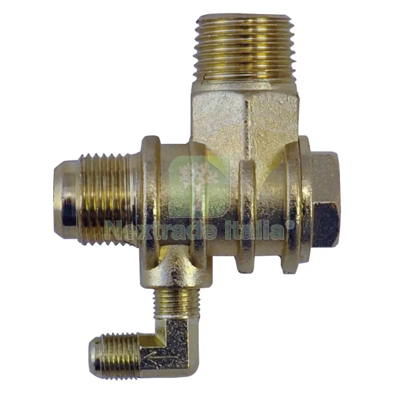 VALVOLA SERBATOIO per compressore Lt. 100 — Trapani e avvitatori — rif. FERX.5113961NLM VALVOLA SERBATOIO per compressore Lt. 100 — Trapani e avvitatori — rif. FERX.5113961NLM