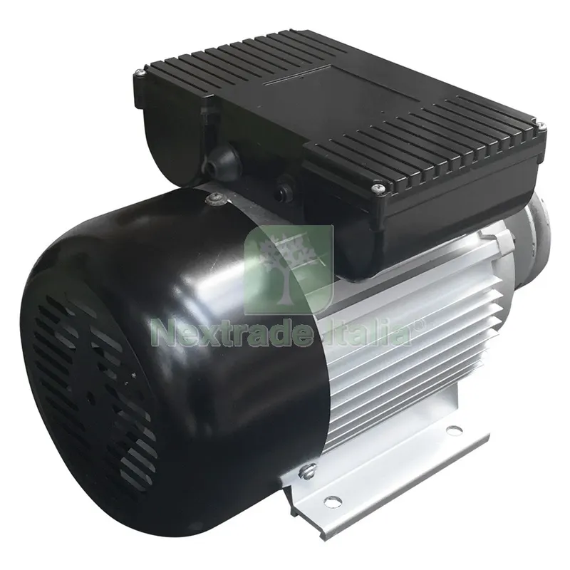 MOTORE COMPLETO per compressore Lt. 100 — Trapani e avvitatori — rif. FERX.5113997NLM