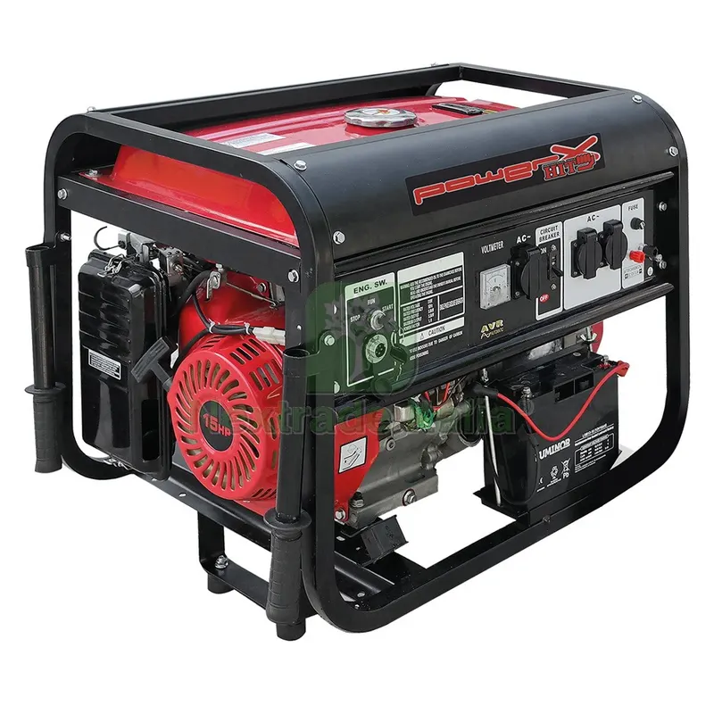 Generatore 'PH5500C' — Pompe — rif. FERX.5112588NLM