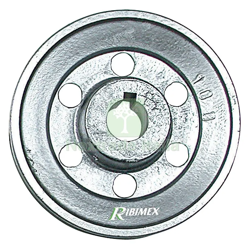 Puleggia per Motore 1 gola - ø100 - asse 19 mm — Ferramenta porte e finestre — rif. FERX.5116190NLM Puleggia per Motore 1 gola - ø100 - asse 19 mm — Ferramenta porte e finestre — rif. FERX.5116190NLM