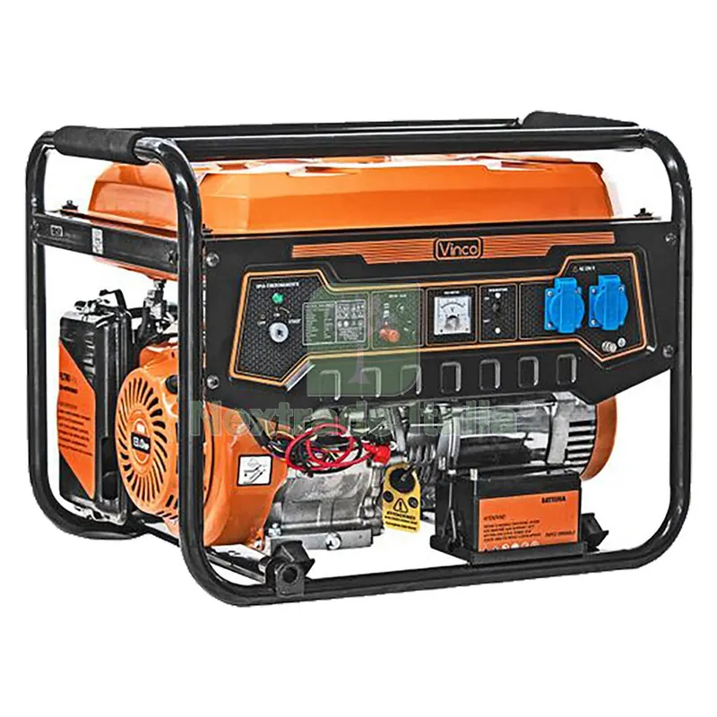 GENERATORE 60124 - 5,5 KW Hp 13 — Pompe — rif. FERX.5112589NLM