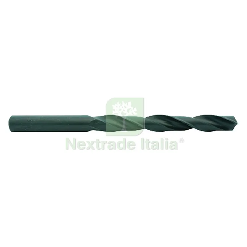 5PZ PUNTA ELICOIDALE HSS 'RULLATA' mm 10 — Punte, frese e dischi — rif. FERX.500166NLM 5PZ PUNTA ELICOIDALE HSS 'RULLATA' mm 10 — Punte, frese e dischi — rif. FERX.500166NLM