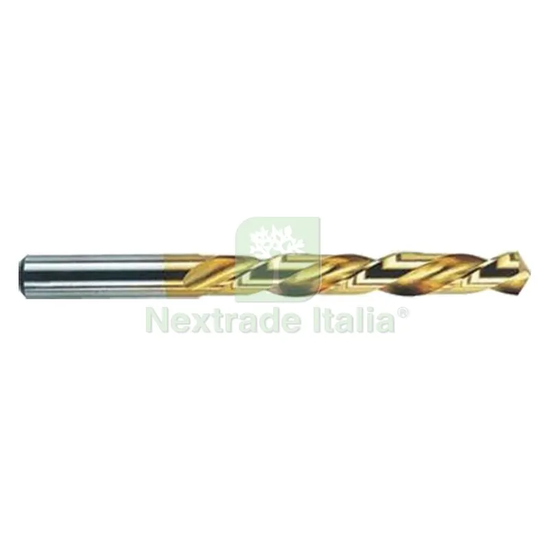 5PZ PUNTA ELICOIDALE HSS 'TITANIO' mm 10 — Punte, frese e dischi — rif. FERX.5002834NLM 5PZ PUNTA ELICOIDALE HSS 'TITANIO' mm 10 — Punte, frese e dischi — rif. FERX.5002834NLM