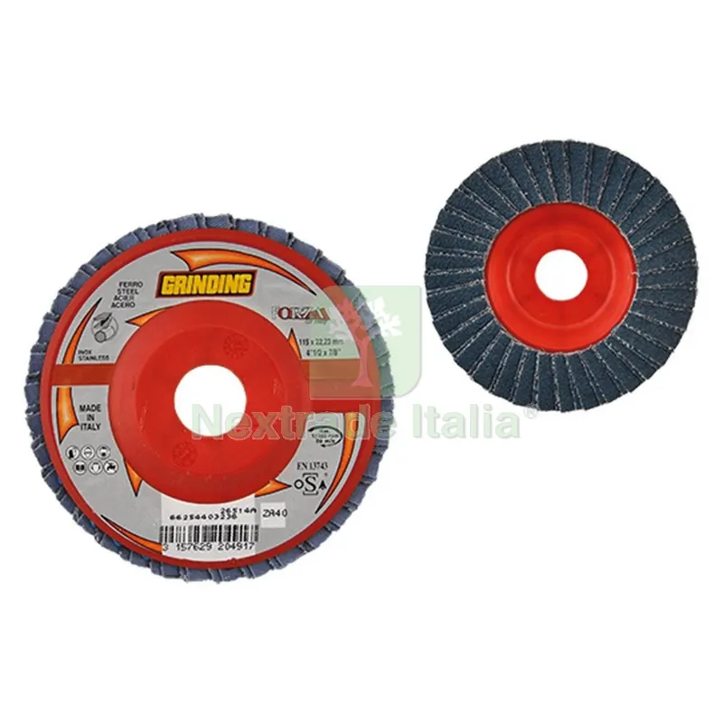 10PZ DISCO LAMELLARE PER ACCIAIO INOX ''FORZA'' ø 115 gr. 60 — Punte, frese e dischi — rif. FERX.501252NLM 10PZ DISCO LAMELLARE PER ACCIAIO INOX ''FORZA'' ø 115 gr. 60 — Punte, frese e dischi — rif. FERX.501252NLM