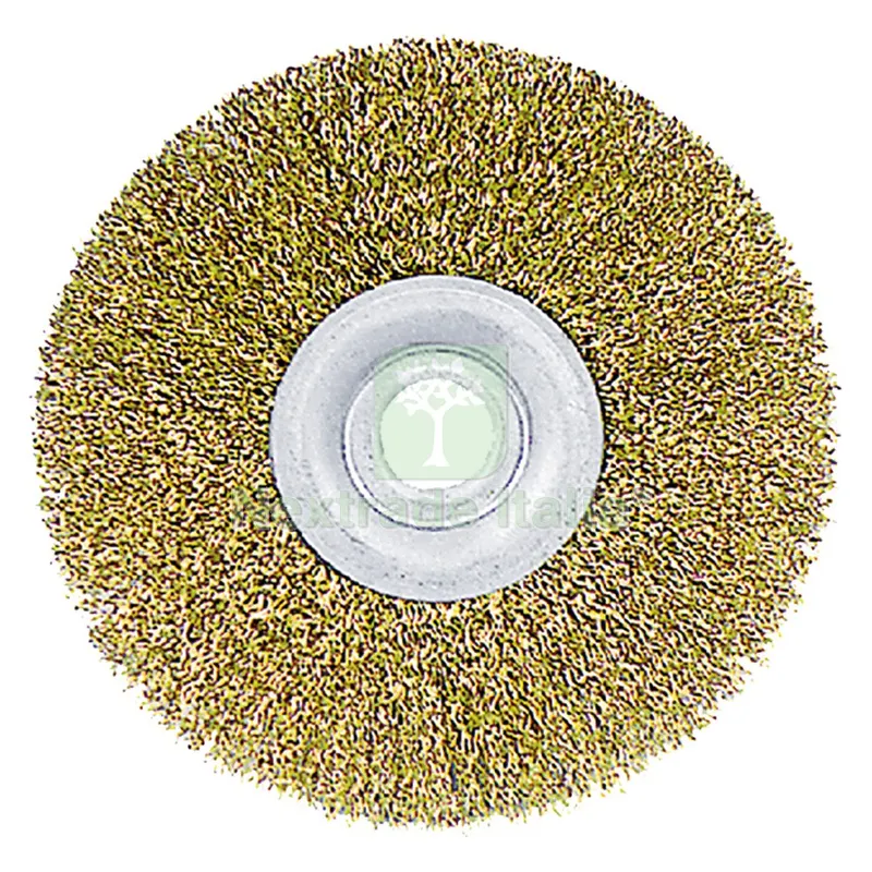 SPAZZOLA CIRCOLARE PER MOLA ø mm 100 - foro mm 13 - blister — Punte, frese e dischi — rif. FERX.502710NLM