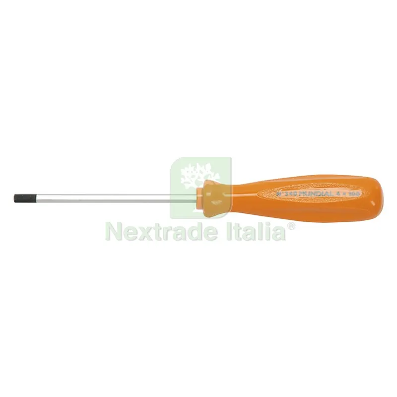 CACCIAVITE ESAGONALE MASCHIO mm 4,0 x 100 - manico mm 91 x 25 — Cacciaviti e giraviti — rif. FERX.5134358NLM CACCIAVITE ESAGONALE MASCHIO mm 4,0 x 100 - manico mm 91 x 25 — Cacciaviti e giraviti — rif. FERX.5134358NLM