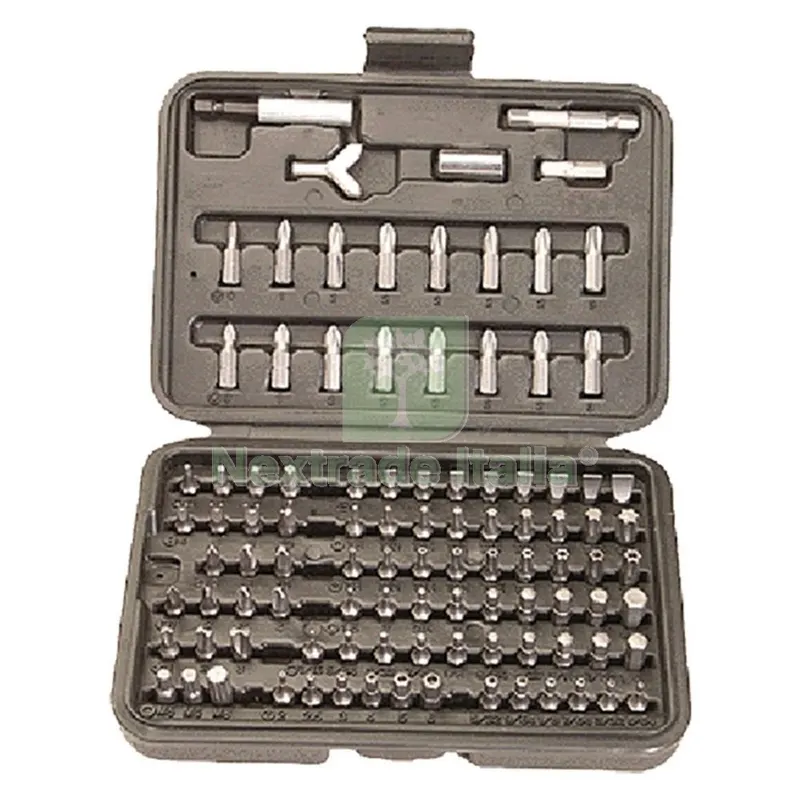 Inserti Magnetici Serie 100 Pezzi In valigetta plastica — Cacciaviti e giraviti — rif. FERX.514246NLM