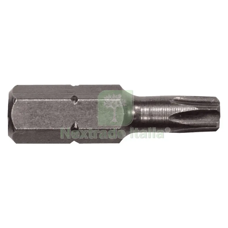 INSERTI PER VITI IMPRONTA TORX TX 25 x 25 mm - cf.10 pz — Viti — rif. FERX.5066514NLM