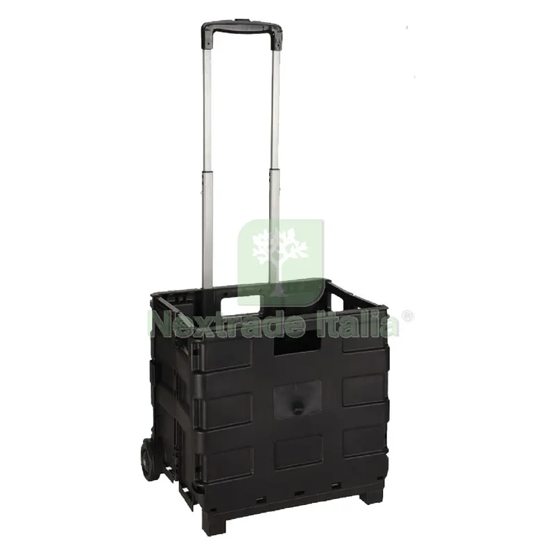 Carrello Cesta Multiuso Pieghevole portata 18 kg — Casalinghi e organizzazione — rif. FERX.3145586NLM Carrello Cesta Multiuso Pieghevole portata 18 kg — Casalinghi e organizzazione — rif. FERX.3145586NLM