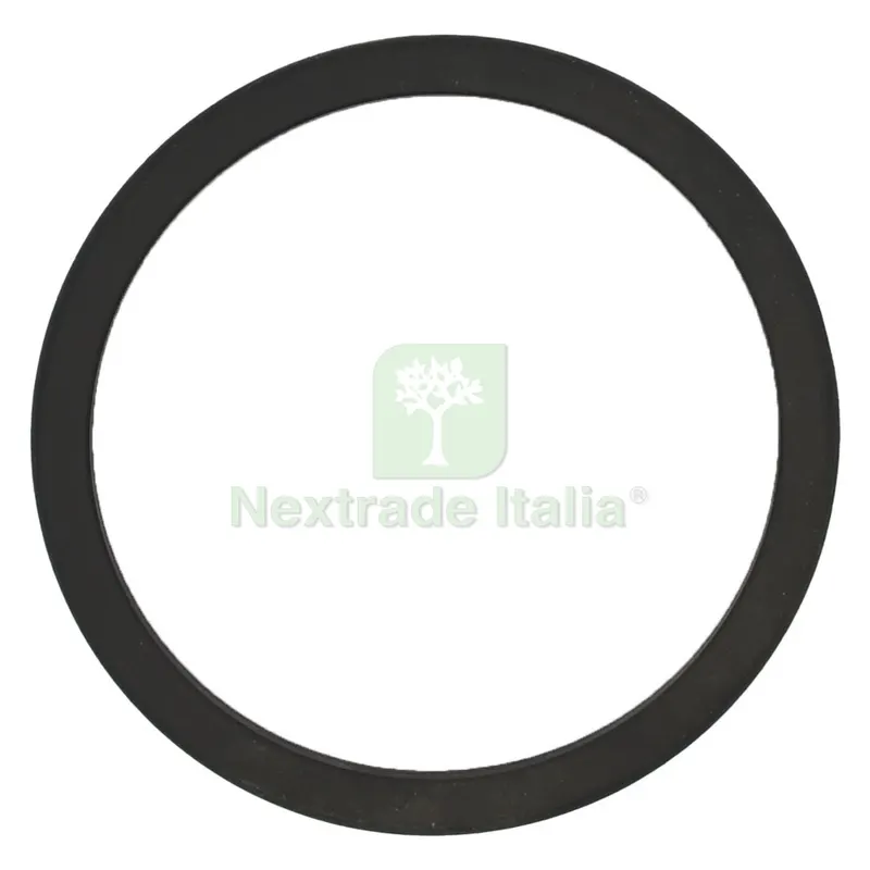 GUARNIZIONE POMPA TRAVASO PER FUSTI per modello Lt./min. 25 e 60 — Accessori per spruzzatura e pompe — rif. FERX.507455NLM