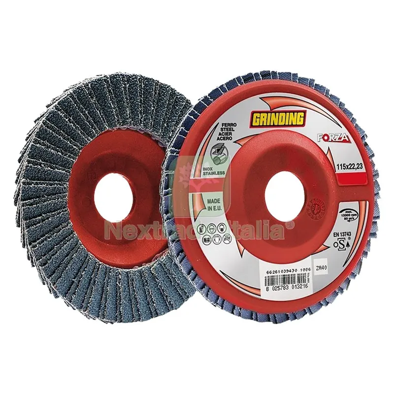 10PZ DISCO LAMELLARE PER ACCIAIO INOX 'FORZA' Ø 115 gr. 60 — Punte, frese e dischi — rif. FERX.5012532NLM 10PZ DISCO LAMELLARE PER ACCIAIO INOX 'FORZA' Ø 115 gr. 60 — Punte, frese e dischi — rif. FERX.5012532NLM