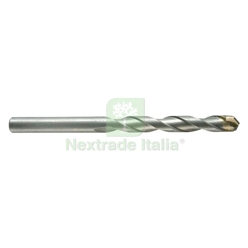 PUNTA CILINDRICA PER MURO 'STANDARD PLUS' mm 18 x 160 '03052' — Serrature e cilindri — rif. FERX.5004440NLM PUNTA CILINDRICA PER MURO 'STANDARD PLUS' mm 18 x 160 '03052' — Serrature e cilindri — rif. FERX.5004440NLM