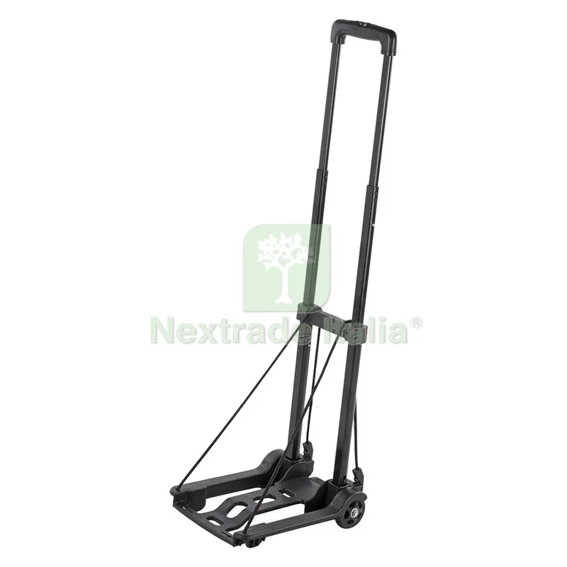 Carrello Portapacchi Pieghevole portata 45 kg — Casalinghi e organizzazione — rif. FERX.3145571NLM Carrello Portapacchi Pieghevole portata 45 kg — Casalinghi e organizzazione — rif. FERX.3145571NLM