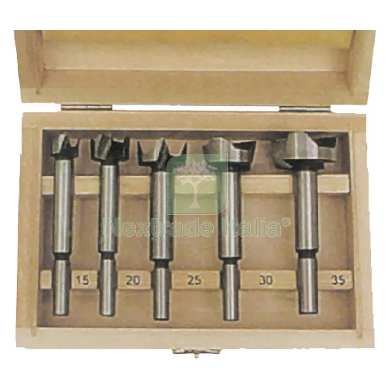 PUNTE A FRESA IN SET 5 pz — Punte, frese e dischi — rif. FERX.500733NLM