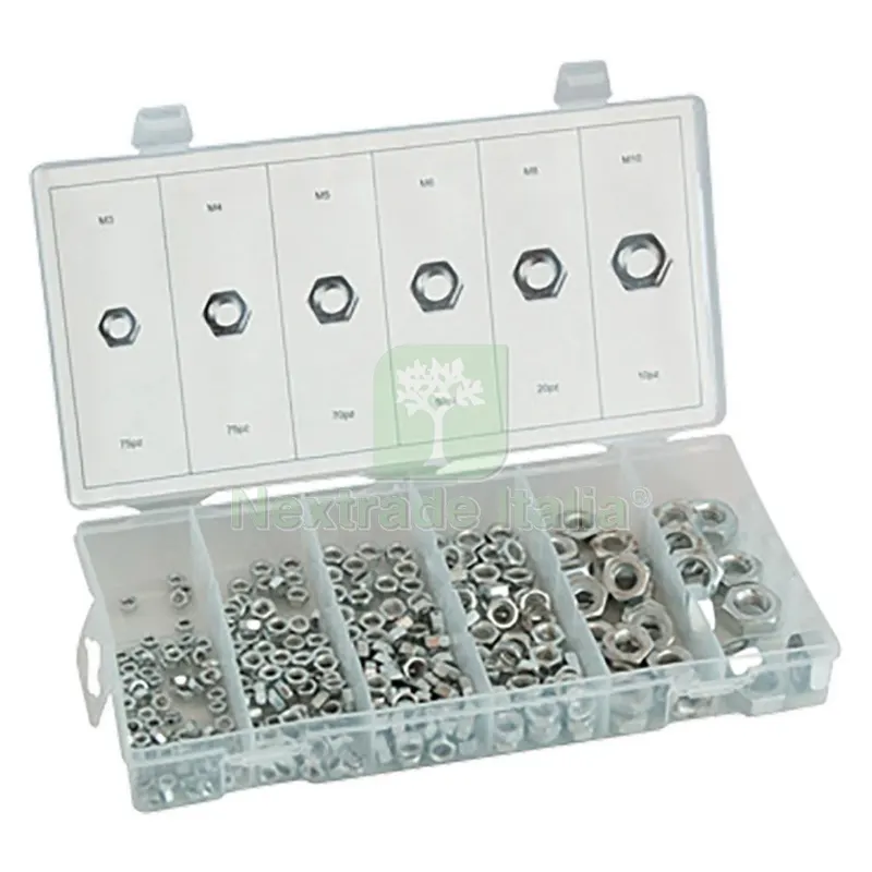 Assortimento Dadi Esagonali totale 300 pz — Bulloni, dadi e rondelle — rif. FERX.3159246NLM Assortimento Dadi Esagonali totale 300 pz — Bulloni, dadi e rondelle — rif. FERX.3159246NLM