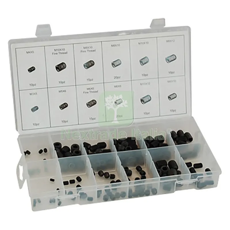 Assortimento Viti Grani Senza Testa totale 150 pz — Viti — rif. FERX.3158940NLM Assortimento Viti Grani Senza Testa totale 150 pz — Viti — rif. FERX.3158940NLM