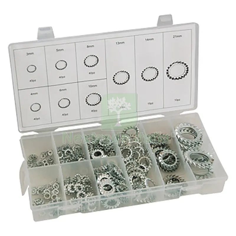 Assortimento Rondelle Dentellate totale 300 pz — Bulloni, dadi e rondelle — rif. FERX.3159236NLM Assortimento Rondelle Dentellate totale 300 pz — Bulloni, dadi e rondelle — rif. FERX.3159236NLM