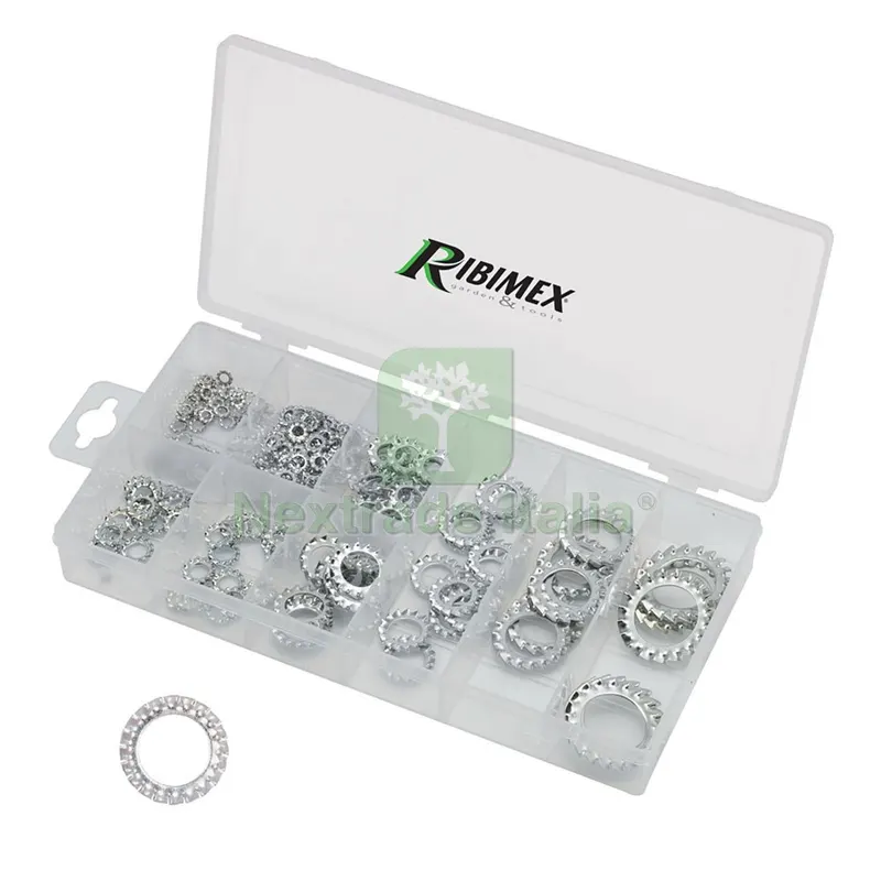 Assortimento Rondelle Dentellate 200 pezzi — Bulloni, dadi e rondelle — rif. FERX.3159238NLM Assortimento Rondelle Dentellate 200 pezzi — Bulloni, dadi e rondelle — rif. FERX.3159238NLM