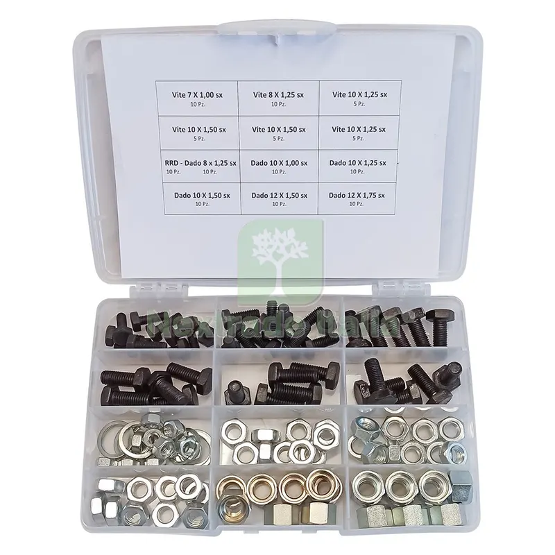 ASSORTIMENTO VITI DADI E RONDELLE totale 110 pz — Bulloni, dadi e rondelle — rif. FERX.3159242NLM ASSORTIMENTO VITI DADI E RONDELLE totale 110 pz — Bulloni, dadi e rondelle — rif. FERX.3159242NLM