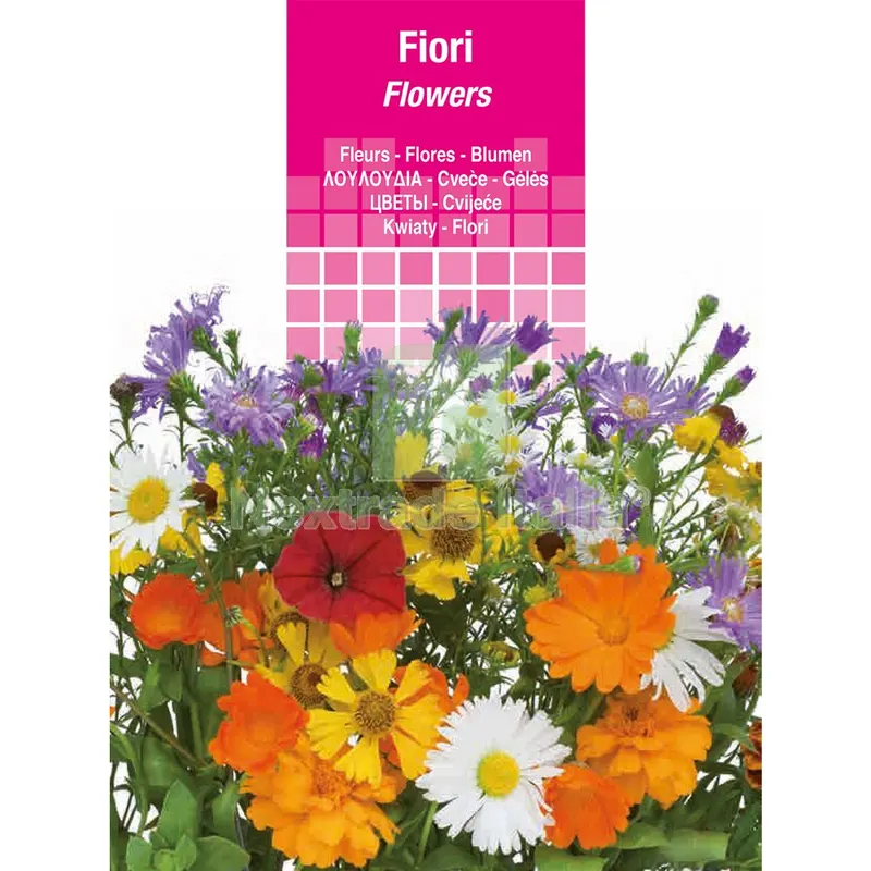 10PZ SEMI PER PRATO UNIVERSALE petunia semplice miscuglio — Protezione piante e sementi — rif. FERX.6125599NLM 10PZ SEMI PER PRATO UNIVERSALE petunia semplice miscuglio — Protezione piante e sementi — rif. FERX.6125599NLM