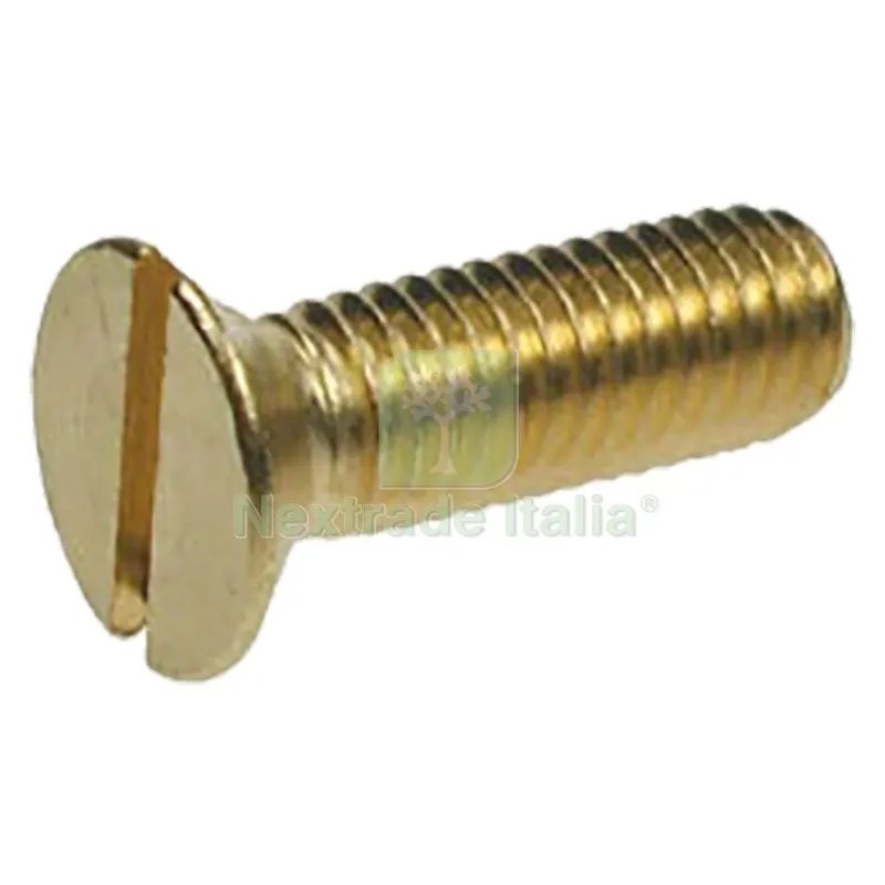 10CF VITI PER COPRI INTERRUTTORE 'AURORA' mm 3,5 x 9 — Interruttori e prese — rif. FERX.3020290NLM