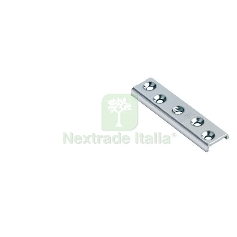 PIASTRINA RICAMBIO 10 MA PER CARRELLO A 4 CUSCINETTI ART.40/24+42 — Piastre e angolari — rif. FERX.315242NLM PIASTRINA RICAMBIO 10 MA PER CARRELLO A 4 CUSCINETTI ART.40/24+42 — Piastre e angolari — rif. FERX.315242NLM
