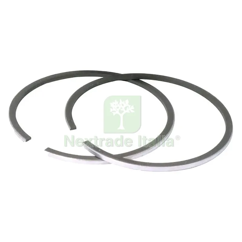 FASCE PER PISTONE per decespugliat.PG330W ø36 mm — Attrezzi da giardino — rif. FERX.6110319NLM FASCE PER PISTONE per decespugliat.PG330W ø36 mm — Attrezzi da giardino — rif. FERX.6110319NLM