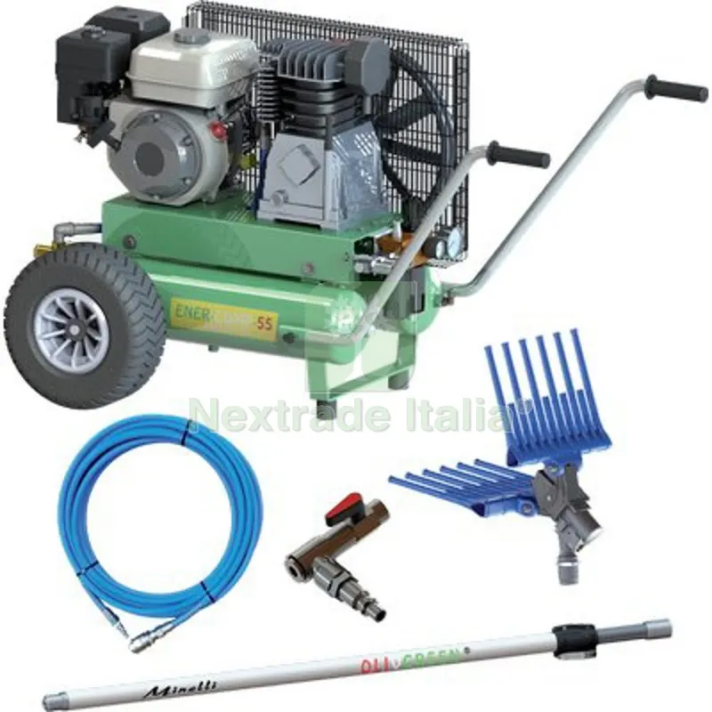 Cogliolive AC Ener-Comp 55/11+11 Kit Minelli Honda 4T GP160 LT/MIN 550 LT 11+11 LT/M 550 — Casalinghi e organizzazione — rif. FERX.VIR1100135 Cogliolive AC Ener-Comp 55/11+11 Kit Minelli Honda 4T GP160 LT/MIN 550 LT 11+11 LT/M 550 — Casalinghi e organizzazione — rif. FERX.VIR1100135