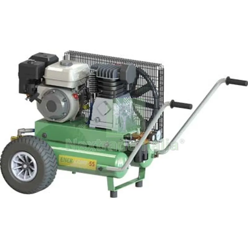 Compressore AC Ener-Comp 55 Minelli Honda 4T GP160 LT/MIN 550 LT 11+11 LT/M 550 — Trapani e avvitatori — rif. FERX.VIR1100175 Compressore AC Ener-Comp 55 Minelli Honda 4T GP160 LT/MIN 550 LT 11+11 LT/M 550 — Trapani e avvitatori — rif. FERX.VIR1100175