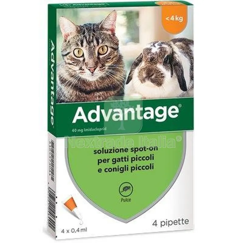Antiparassitario Advantage Gatti Elanco KG 0/4 CF=PZ 4 KG 0>4 — Protezione piante e sementi — rif. FERX.VIR1191207 Antiparassitario Advantage Gatti Elanco KG 0/4 CF=PZ 4 KG 0>4 — Protezione piante e sementi — rif. FERX.VIR1191207