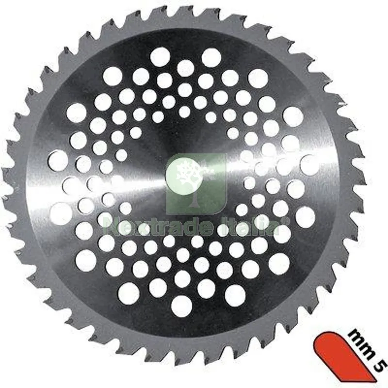 2PZ Disco x Decespugliatore al Tungsteno Profy Stars Acciaio Denti 40 D.MM 255 S.MM 2,0 Widia MM 5 MM 255x25,4x2 — Attrezzi da giardino a motore — rif. FERX.VIR1227161