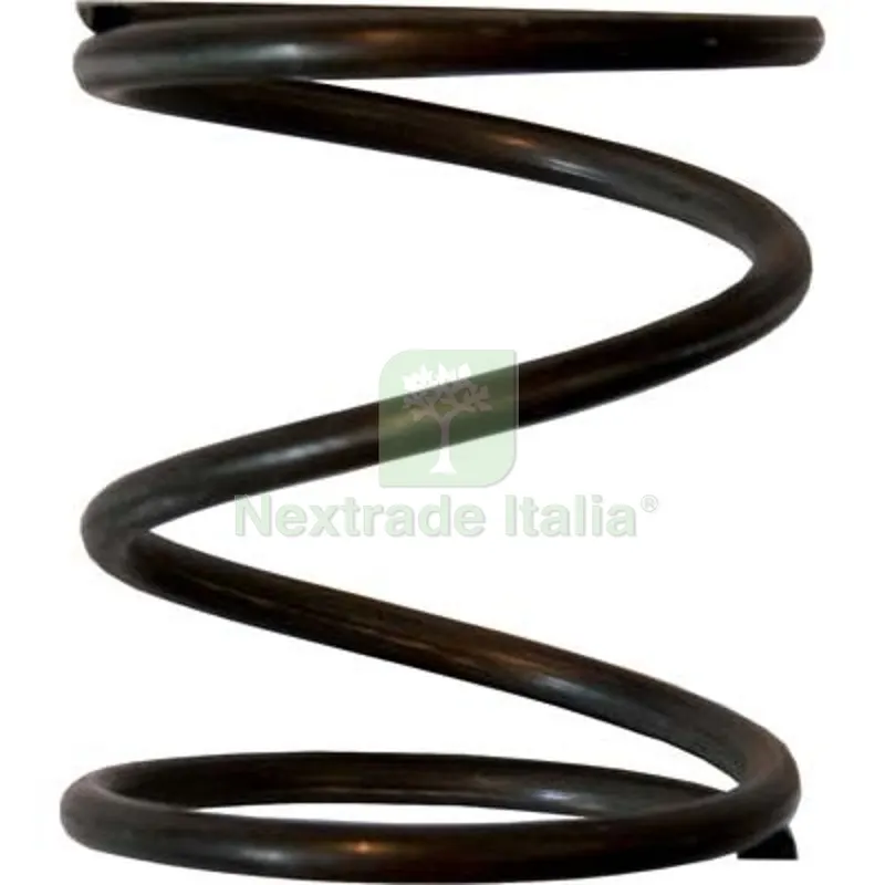5PZ MOLLA X TESTINA DECESPUGLIATORE BLUEBIRD Mod Blue Bird — Attrezzi da giardino a motore — rif. FERX.VIR1227213 5PZ MOLLA X TESTINA DECESPUGLIATORE BLUEBIRD Mod Blue Bird — Attrezzi da giardino a motore — rif. FERX.VIR1227213
