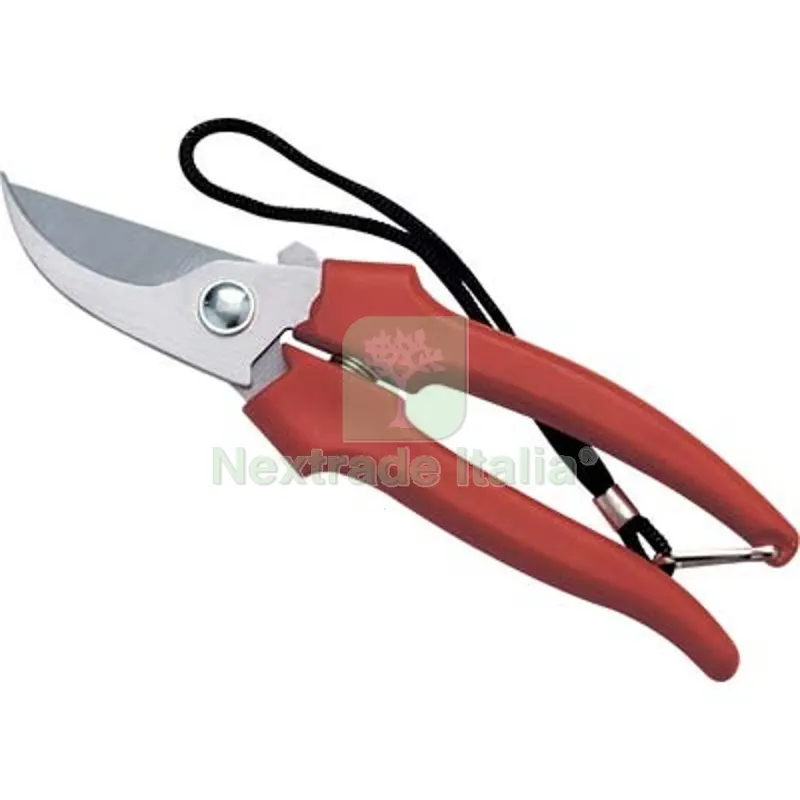 12PZ Forbice Raccolta a Mezzaluna Ausonia CM 19 L CM 21 — Attrezzi da giardino — rif. FERX.VIR1233417 12PZ Forbice Raccolta a Mezzaluna Ausonia CM 19 L CM 21 — Attrezzi da giardino — rif. FERX.VIR1233417