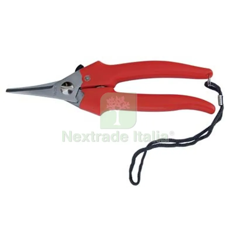 12PZ Forbice Raccolta a Punta Stretta Ausonia CM 19 — Attrezzi da giardino — rif. FERX.VIR1234019 12PZ Forbice Raccolta a Punta Stretta Ausonia CM 19 — Attrezzi da giardino — rif. FERX.VIR1234019