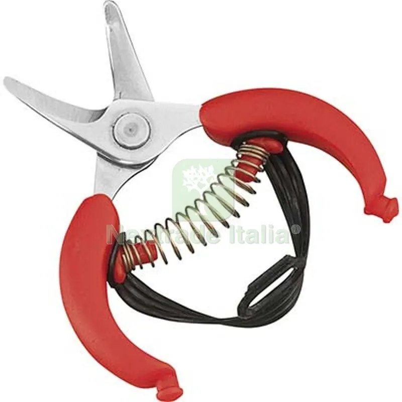 3PZ Forbice Raccolta Agrumi Ausonia MM 105 — Attrezzi da giardino — rif. FERX.VIR1234021 3PZ Forbice Raccolta Agrumi Ausonia MM 105 — Attrezzi da giardino — rif. FERX.VIR1234021