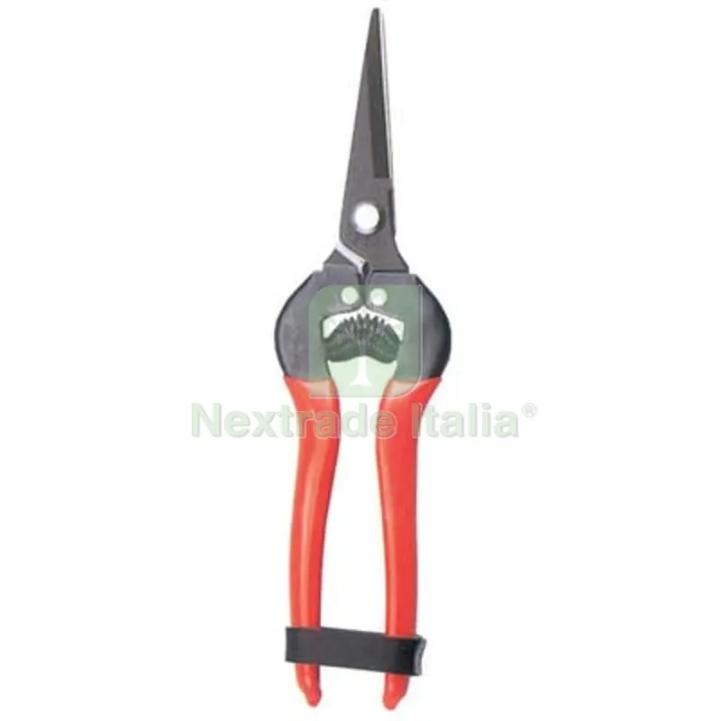 6PZ Forbice Raccolta a Punta Stars Dritta CM 19 — Attrezzi da giardino — rif. FERX.VIR1243641