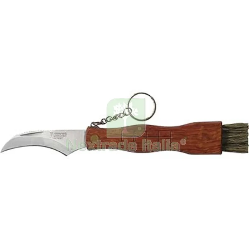 3PZ Coltello Serramanico x Funghi DE Luca Inox/Legno + Spazzolino CM 19 — Seghe e lame manuali — rif. FERX.VIR1253300