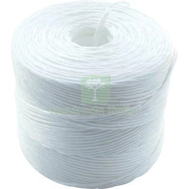 SPAGO POLIPROPILENE SINTEX MT/KG 800 CF=KG 12 CA — Pile e batterie — rif. FERX.VIR1506525