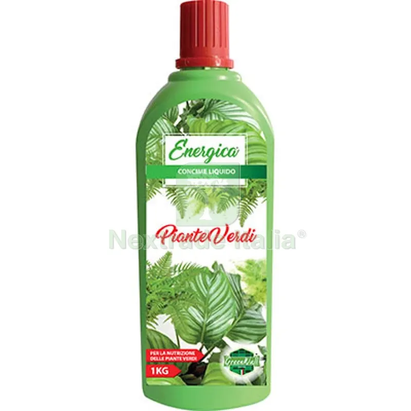 6PZ Concime Liquido Piante Verdi Energica KG 1 — Protezione piante e sementi — rif. FERX.VIR1700714 6PZ Concime Liquido Piante Verdi Energica KG 1 — Protezione piante e sementi — rif. FERX.VIR1700714