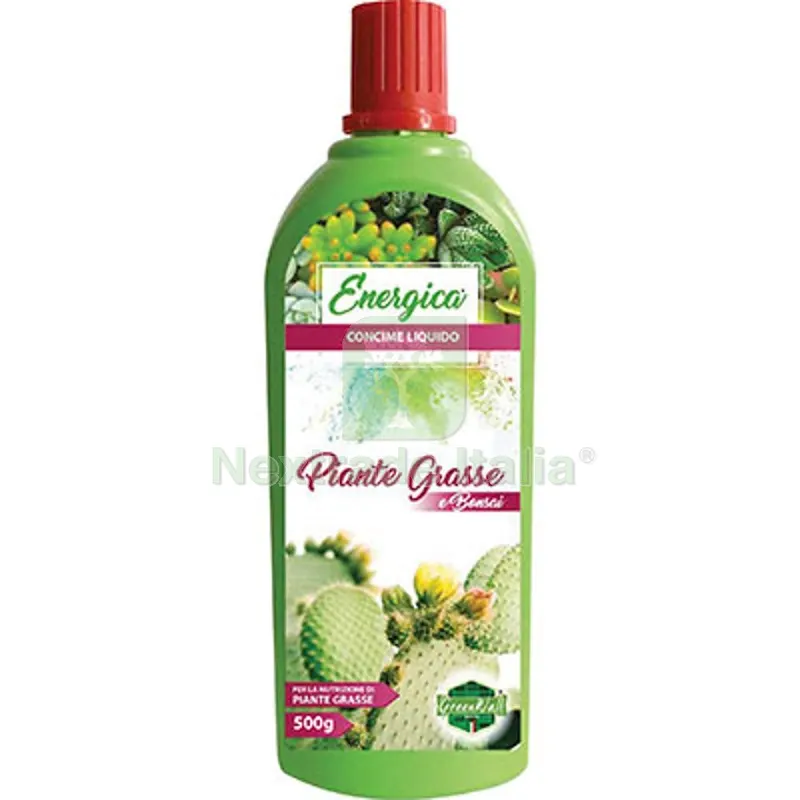 12PZ CONCIME LIQUIDO PIANTE GRASSE ENERGICA GR 500 — Protezione piante e sementi — rif. FERX.VIR1700721 12PZ CONCIME LIQUIDO PIANTE GRASSE ENERGICA GR 500 — Protezione piante e sementi — rif. FERX.VIR1700721